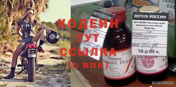 ПСИЛОЦИБИНОВЫЕ ГРИБЫ Осташков