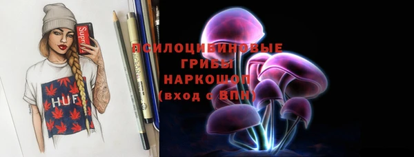 ПСИЛОЦИБИНОВЫЕ ГРИБЫ Осташков