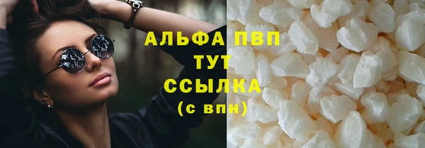 ПСИЛОЦИБИНОВЫЕ ГРИБЫ Осташков