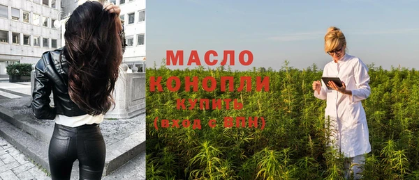 сатива Грязовец