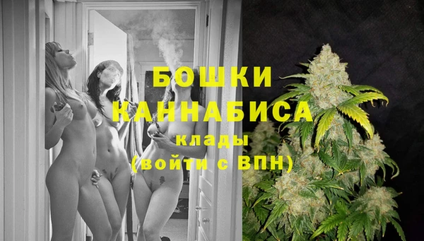 ПСИЛОЦИБИНОВЫЕ ГРИБЫ Осташков