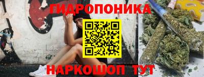 дмт Гатчина