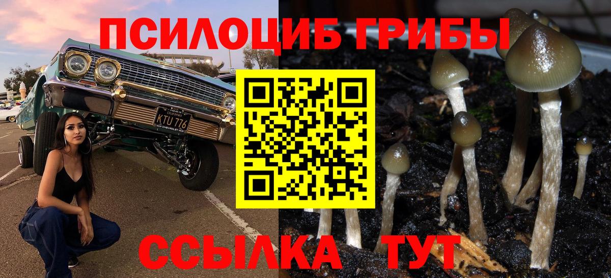 Галлюциногенные грибы прущие грибы Зеленокумск