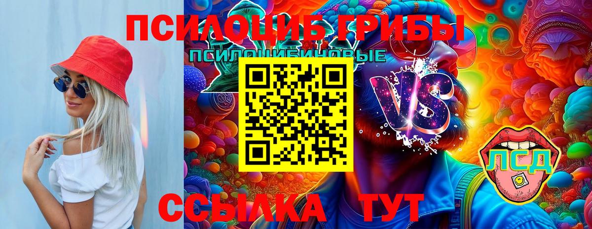 Псилоцибиновые грибы мицелий Зеленокумск