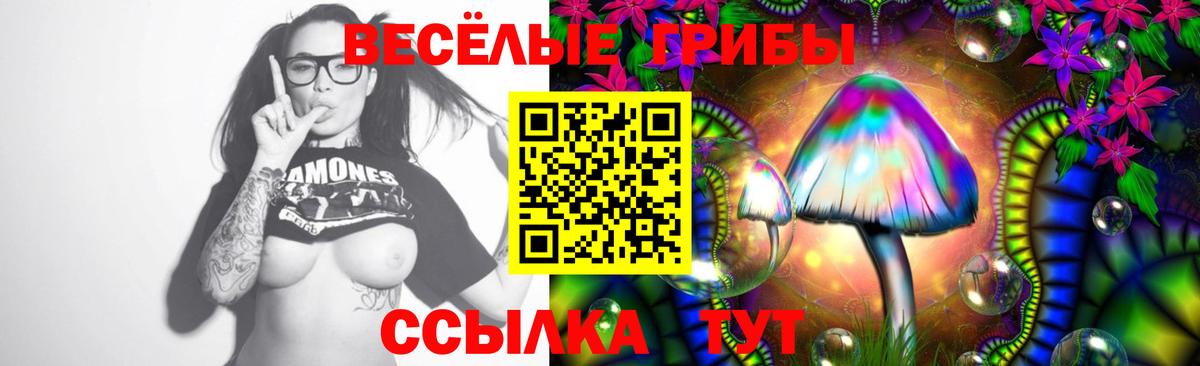 Псилоцибиновые грибы мицелий  закладка  Зеленокумск 