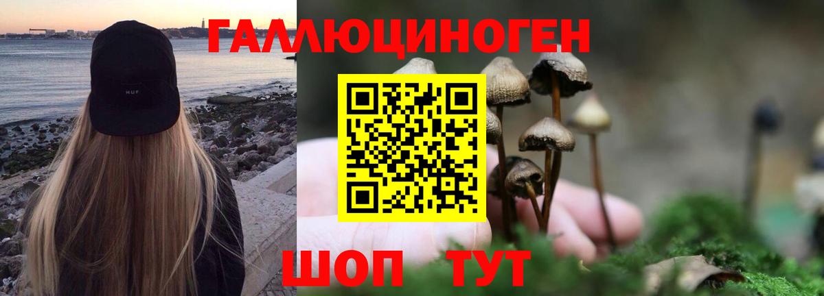 Галлюциногенные грибы Cubensis  Вход с VPN  Зеленокумск  Псилоцибиновые грибы GOLDEN TEACHER 